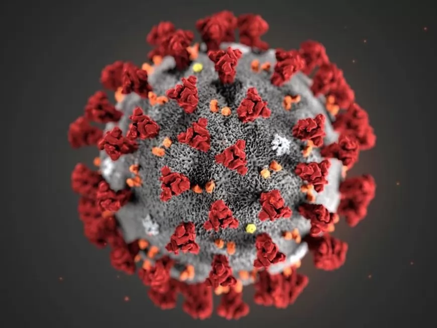 Coronavirus : plus de 1000 cas dans le Rhône, 132 morts ce mardi