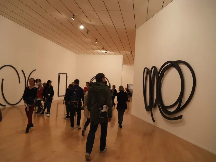 Lyon : la Biennale d'art contemporain prendra place dans les usines Fagor de Gerland