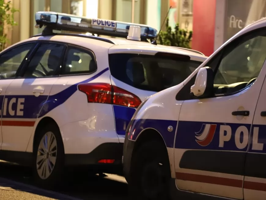 Lyon : le policier reçoit un pavé sur la tête à la Duchère