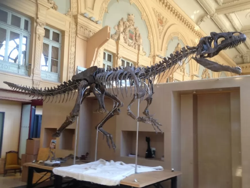 Lyon : le dinosaure présenté chez Aguttes est une espèce "totalement nouvelle"