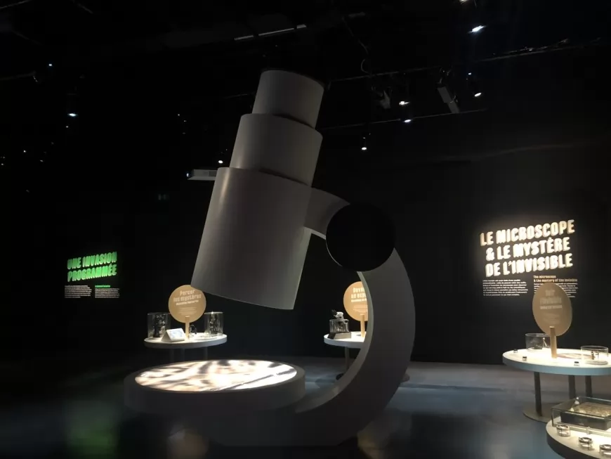 Musée des Confluences : Mini-monstres, une expo pour plonger au cœur de l'infiniment petit