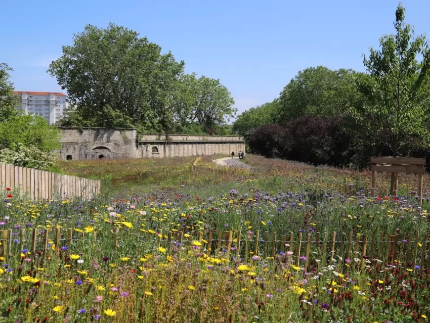 Après 16 mois de travaux, le parc Blandan s'agrandit - VIDEO