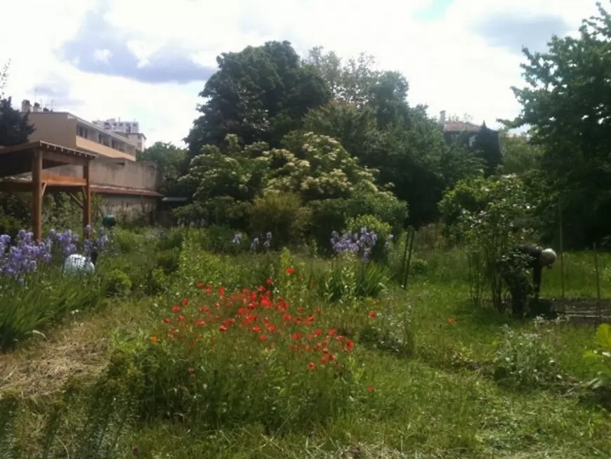Lyon dans le top des villes vertes aux jardins partagés