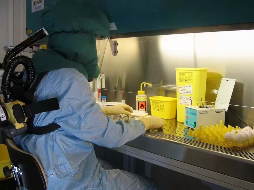 Réalisé en partie à Lyon, l’essai clinique d’un vaccin contre Ebola suspendu en France