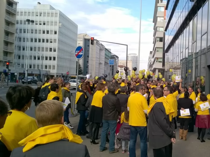 Mutuelles et assurances santé : 200 "Abeilles" manifestent à Lyon