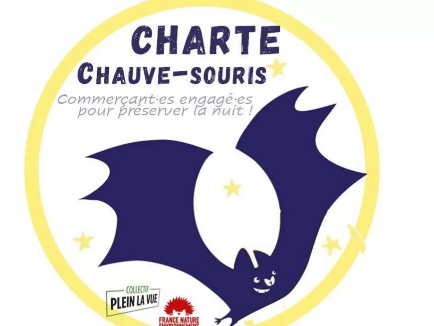 Lyon : "Chauve-souris", la nouvelle charte pour les commerçants qui "réduisent l'impact de l'éclairage artificiel"