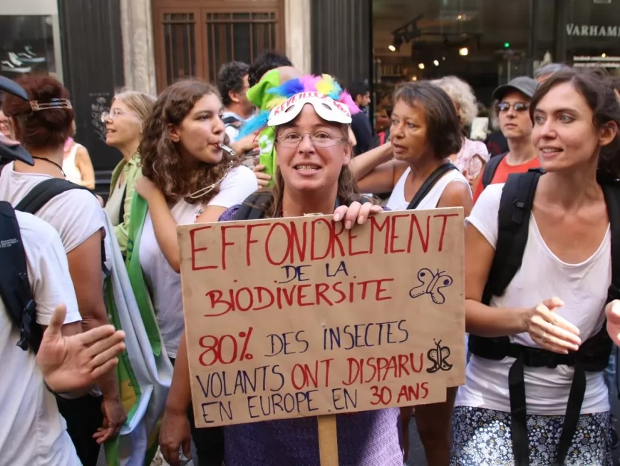 Nouvelle Marche pour le climat à Lyon : "un cadre large, populaire et 100% non-violent"
