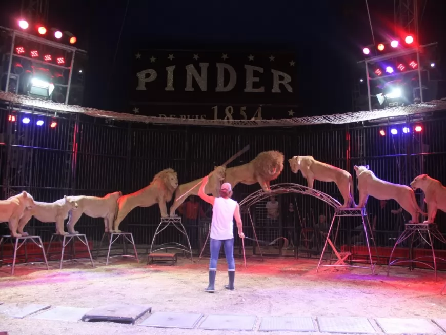 Lyon : le cirque Pinder s’installe à Confluence du 7 avril au 1er mai