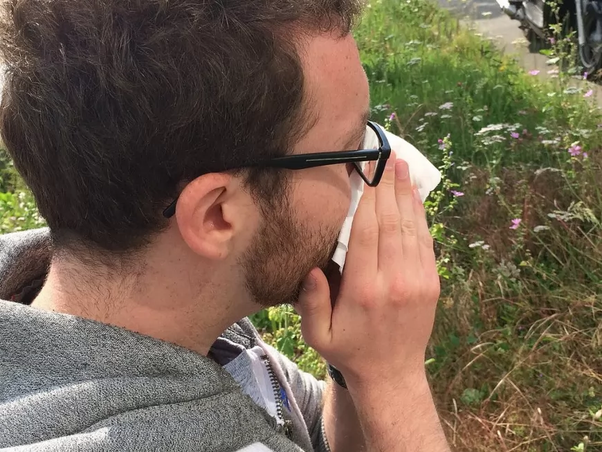 Allergies : les pollens de bouleau reviennent en force dans le Rhône !