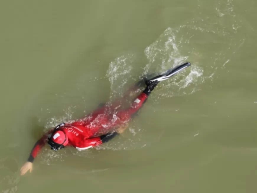 Lyon : un chevreuil sauvé des eaux par les pompiers