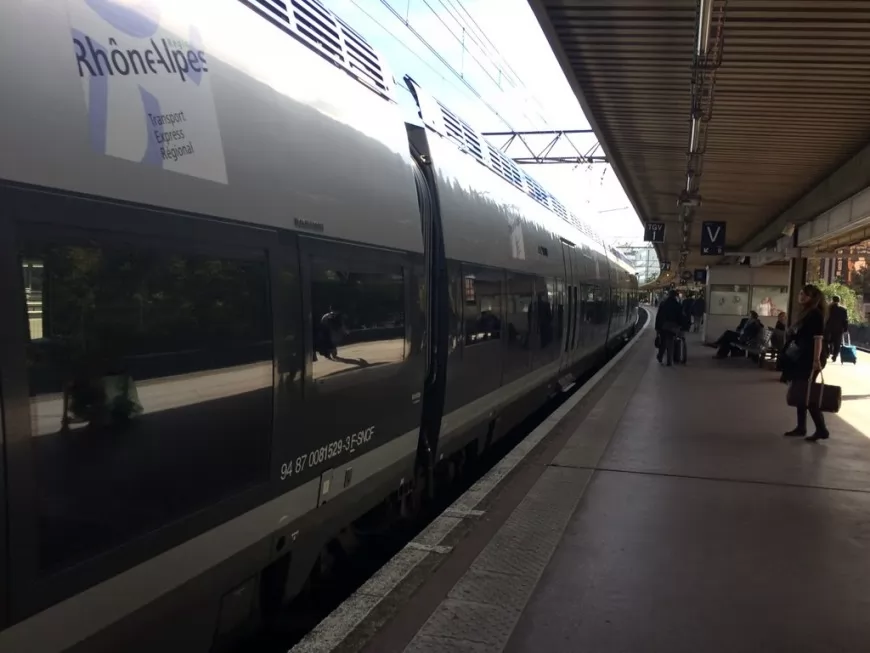 Des arbres sur les voies : le trafic TER entre Lyon et Saint-Etienne interrompu
