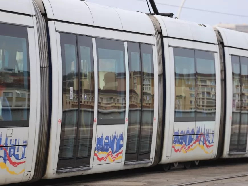 Chien renversé par un tram à Lyon : l’animal n’a pas survécu