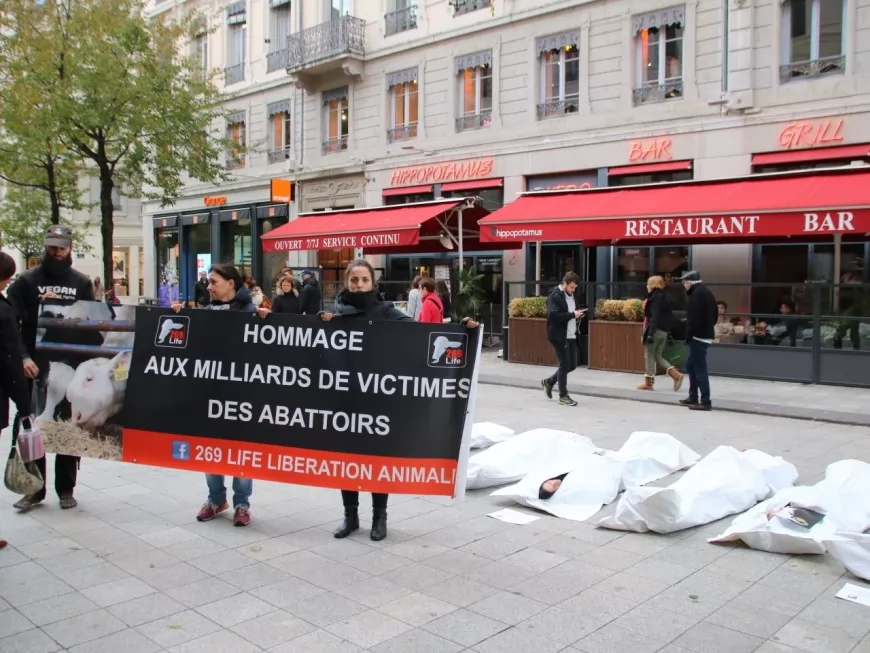 Lyon : des militants pour la cause animale rendent hommage aux victimes des abattoirs