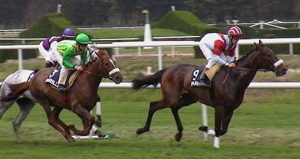 La Société des courses lyonnaises est née