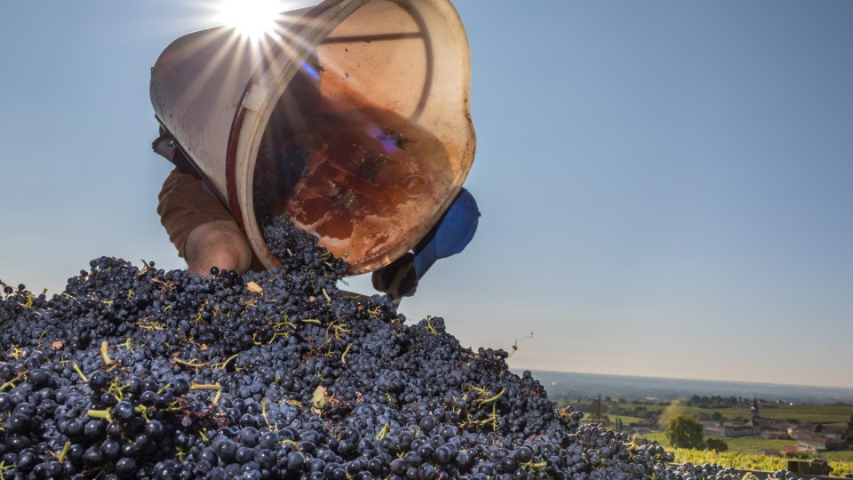 Daniel Bulliat, nouveau président d'Inter Beaujolais