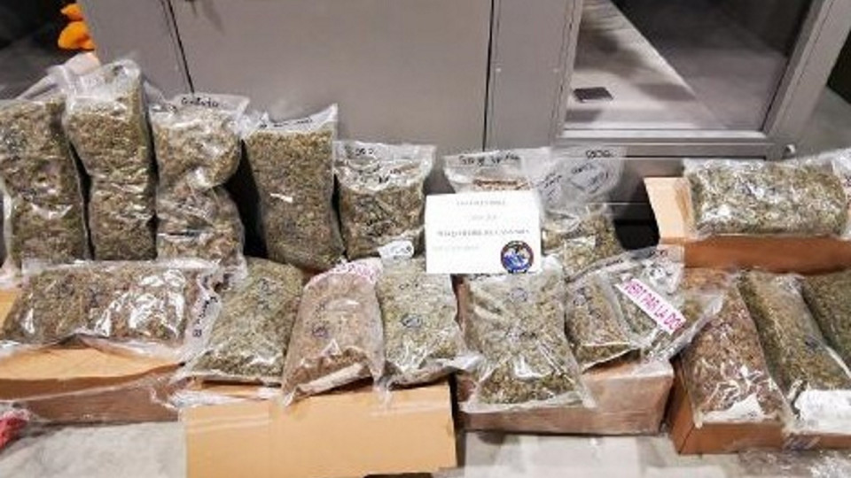 Auvergne-Rhône-Alpes : plus de 5,54 tonnes de stupéfiants saisies par les douanes en 2020 !