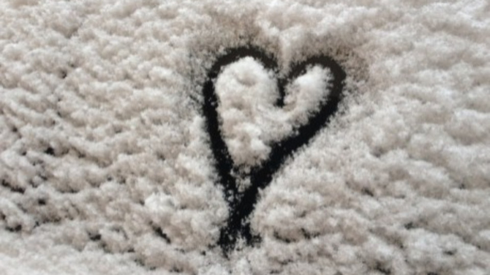 Saint-Valentin : déclarez votre flamme sur les panneaux de la Ville de Lyon !