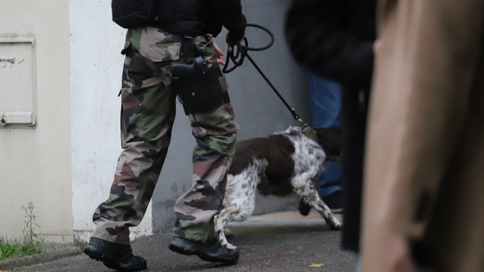 Lyon : un homme ivre crève des pneus au couteau avant d'être désarmé par un chien