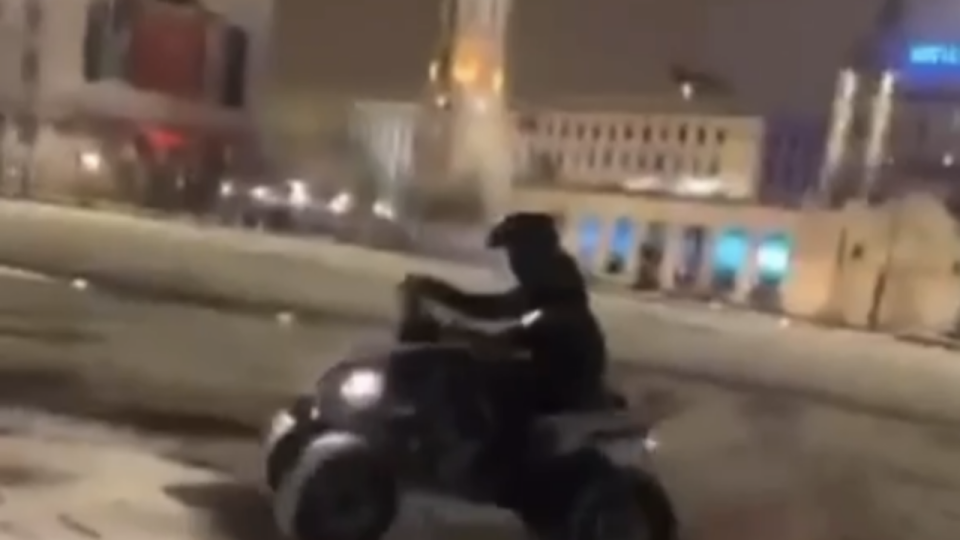 Lyon : rodéo en quad sous la neige et sur la place Bellecour