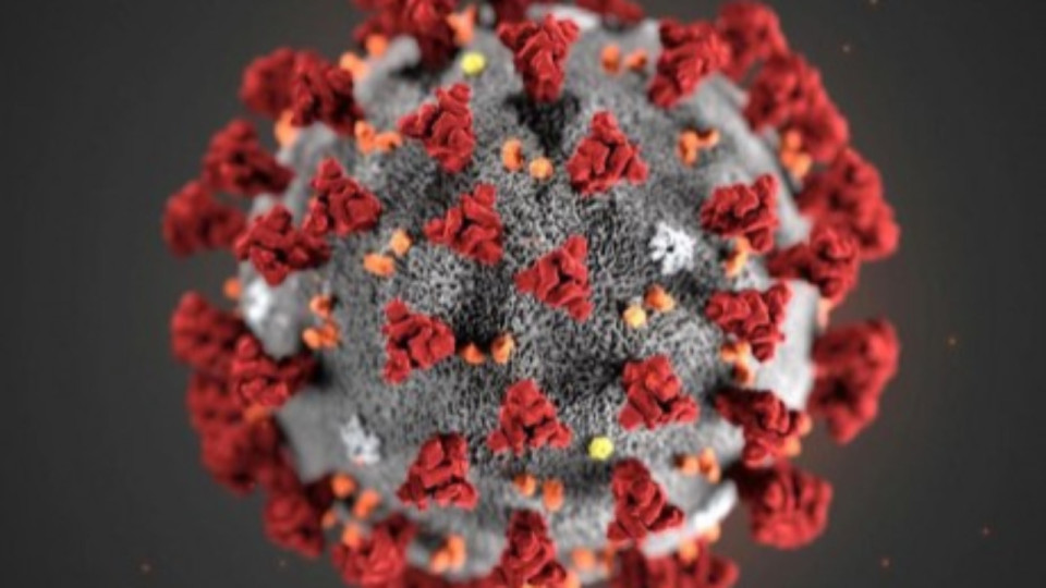 Covid-19 : situation toujours stable à Lyon, selon les HCL