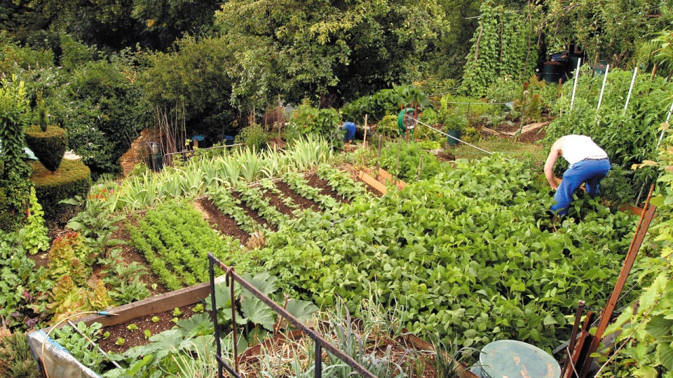 La Métropole de Lyon lance son plan compostage