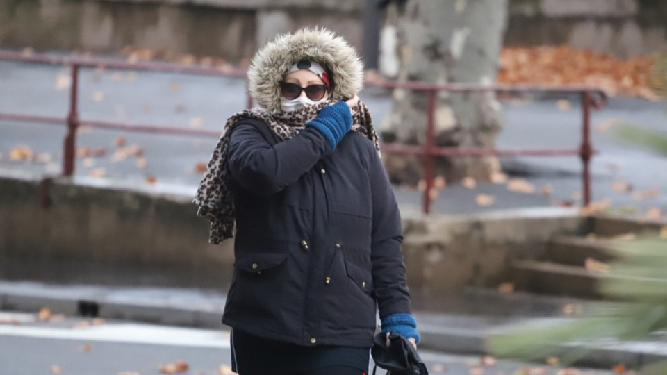 Demande de remise en liberté de Cécile Bourgeon : la cour d'appel de Lyon rendra sa décision le 22 avril