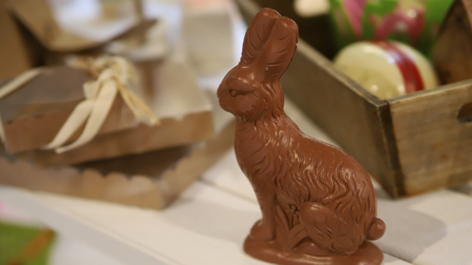 Près de Lyon : une course d'orientation géante organisée au parc de Miribel