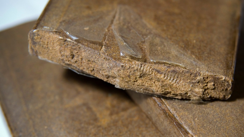 Vénissieux : deux hommes arrêtés avec 247g de cannabis