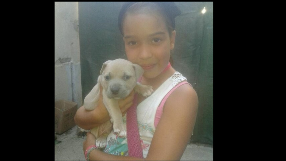 Une jeune Iséroise en fugue recherchée près de Lyon, un appel à témoins lancé