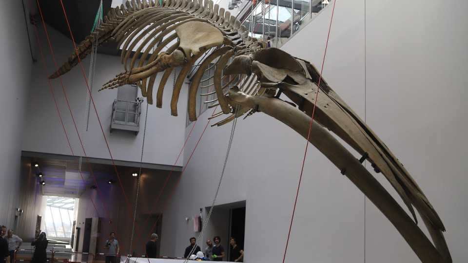 Les "protocoles peaufinés" pour la réouverture des lieux culturels à Lyon