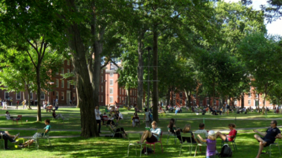 Moins de bureaux et de voitures, davantage d'arbres et de logements : à quoi va ressembler la Part-Dieu des écologistes dans 10 ans ?