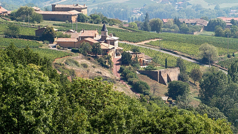 Bons vins, bonne bouffe et beaux domaines, le festival "Bienvenue en Beaujonomie" veut être "le lancement de l'après Covid"