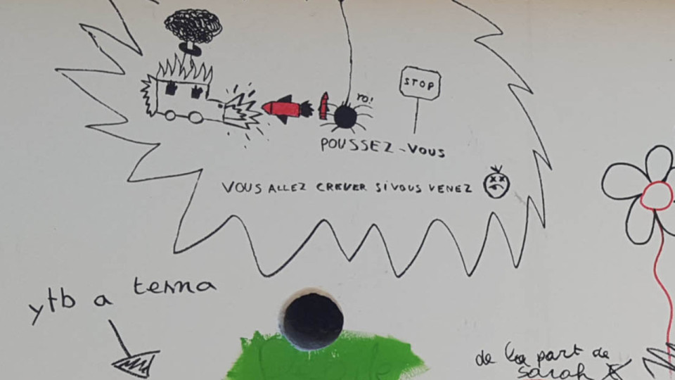 Lyon : des élus dénoncent des messages anti-voitures violents sur les fresques d'une école