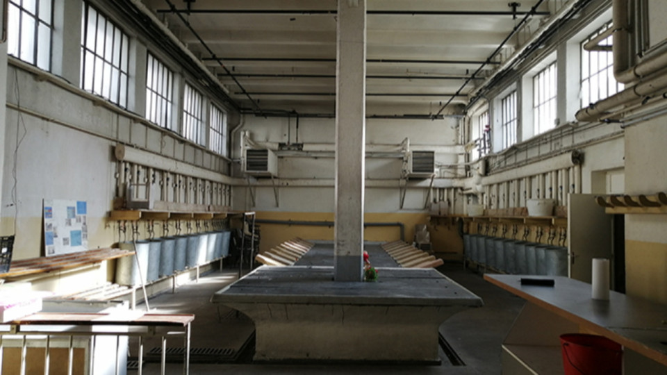 Lyon : la mairie du 1er arrondissement révèle le nom du nouvel occupant du Lavoir Public