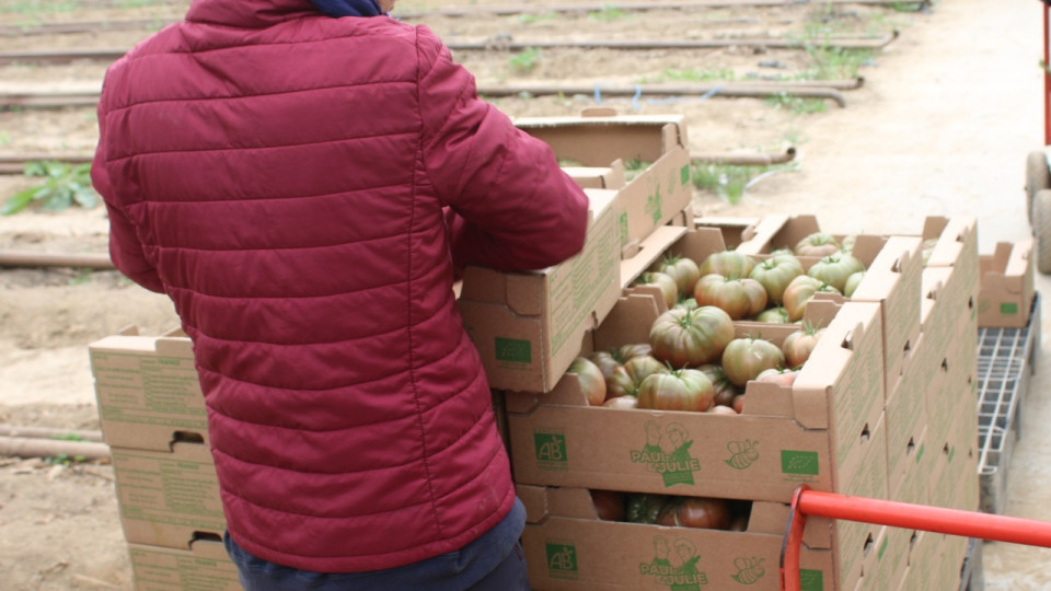 Lyon futur potager cultivable ? Le plan "ville comestible" lancé pour "recréer un lien avec la nature"