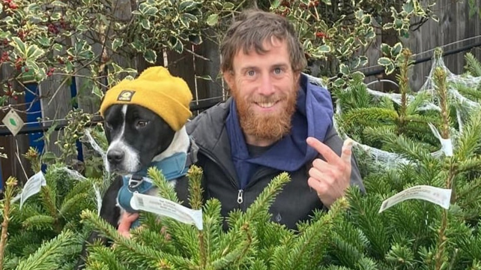 Lyon : la Société Protectrice des Végétaux propose de louer un sapin pour Noël !