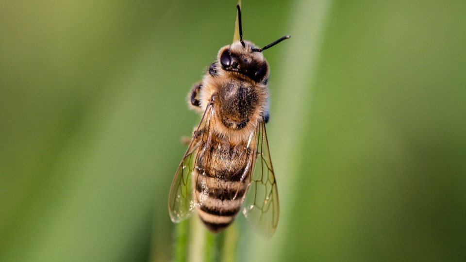 Le Mag des bons plans du week-end à Lyon (8 et 9 janvier)