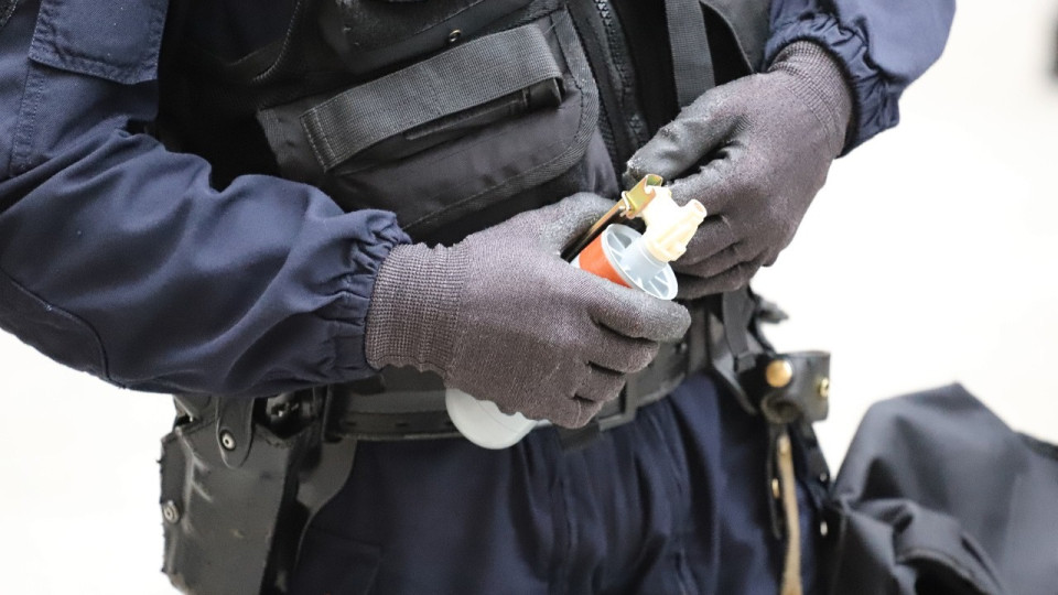 Lyon : des policiers caillassés dans le quartier de la Duchère