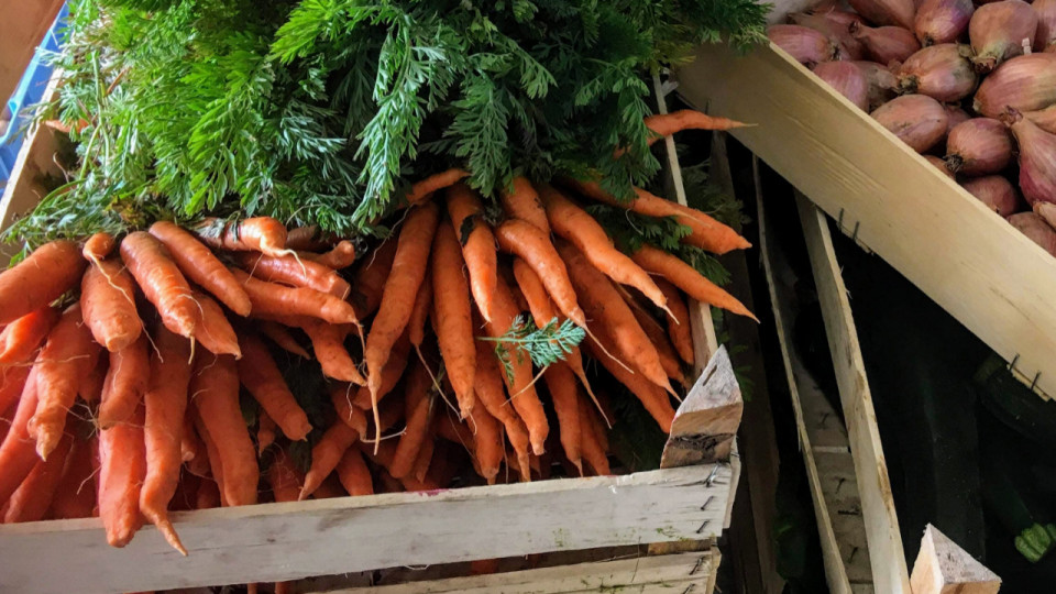 Lyon : quand l’agriculture s’invite en ville