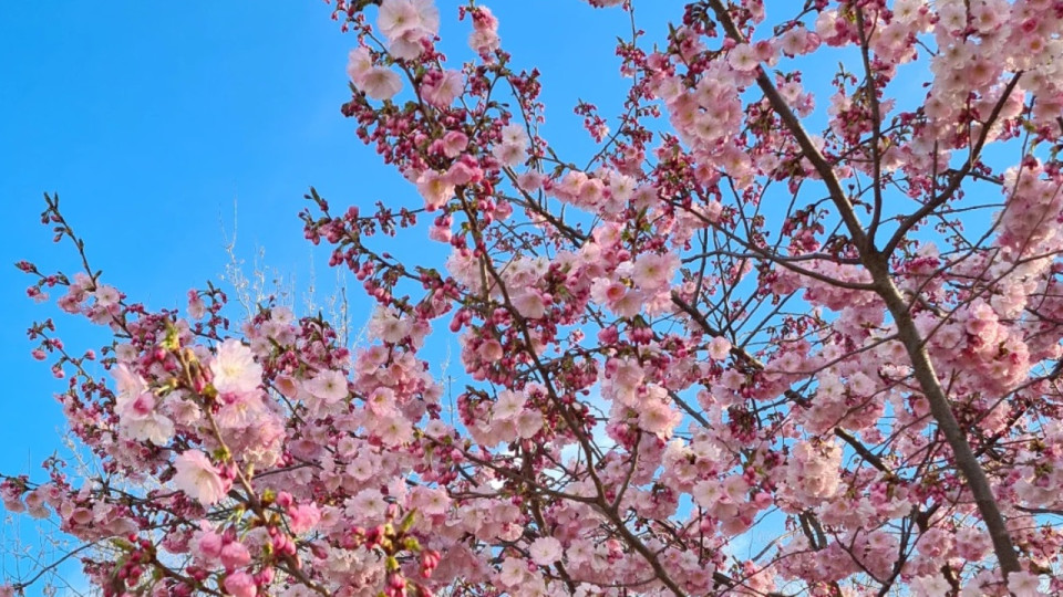 Le Mag des bons plans du week-end à Lyon (19 et 20 mars)