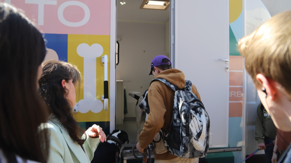 Lyon : le Balto, un camion itinérant pour donner des soins aux chiens des sans-abri