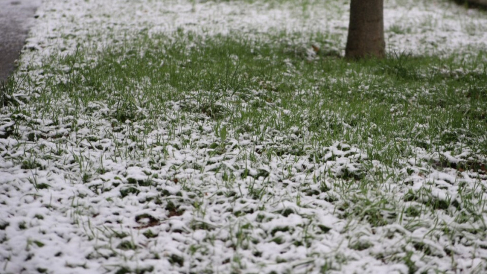 Neige : sept départements de la région en vigilance orange, des perturbations dans le Rhône
