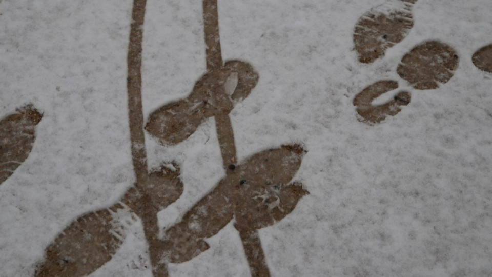 Jusqu'à 5 cm de neige attendus cette nuit dans la métropole de Lyon !