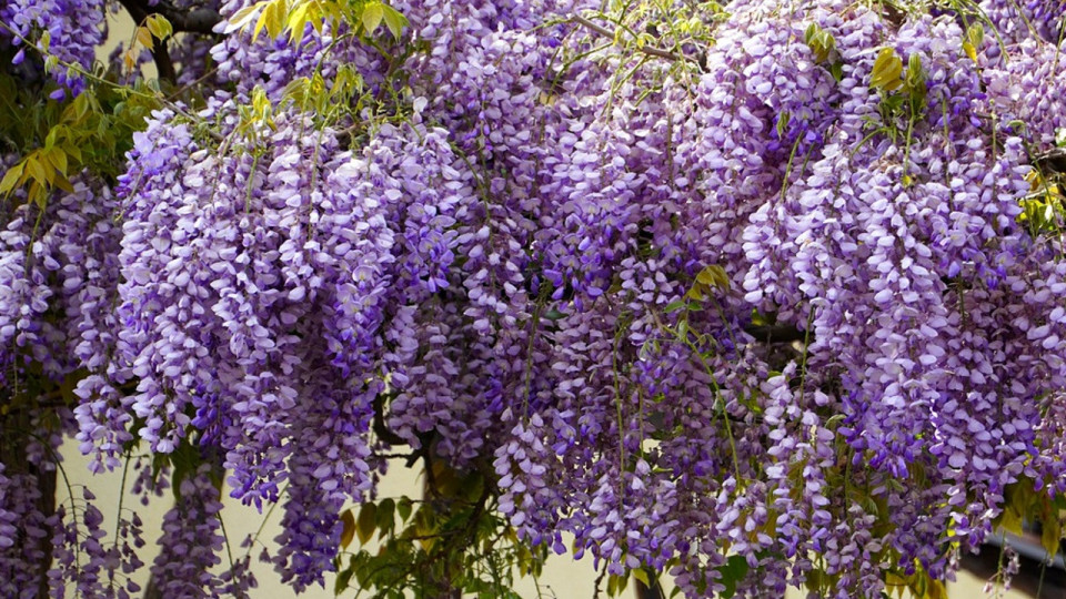 Le Mag des bons plans du week-end à Lyon (9 et 10 avril)