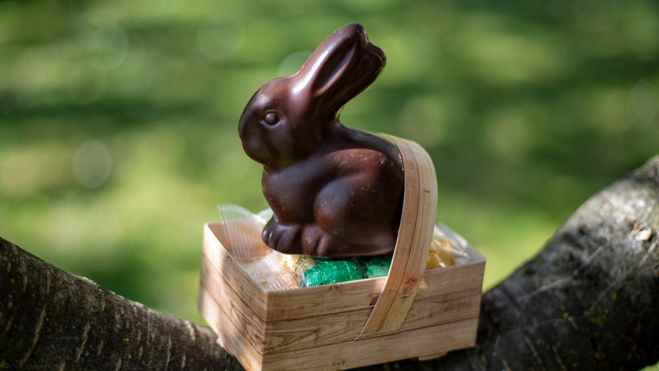 Le Mag des bons plans du week-end à Lyon (16 et 17 avril)