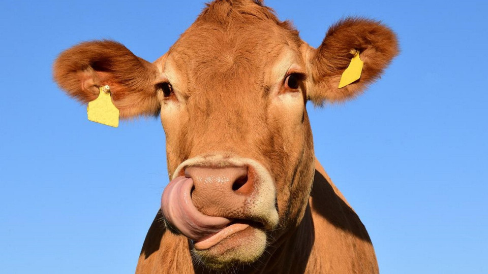 Le Mag des bons plans du week-end à Lyon (23 et 24 avril)