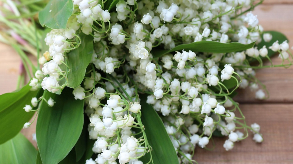 Le Mag des bons plans du week-end à Lyon (30 avril et 1er mai)