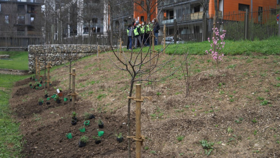 Lyon : l’agriculture envahit la ville en mai