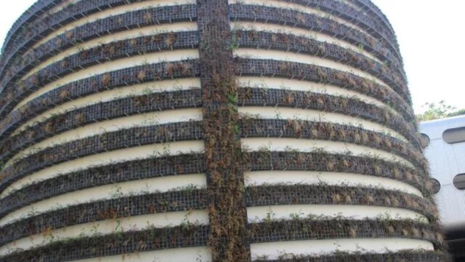 Lyon : comme en 2014, le mur végétalisé de Perrache a grillé