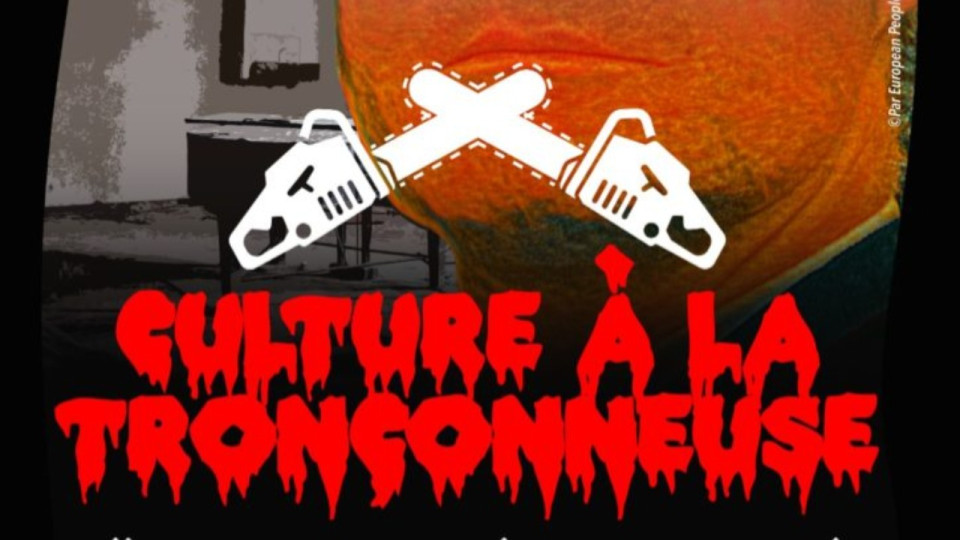 "Culture à la tronçonneuse" : les Verts de la Région dénoncent "l'écran de fumée" créé par Laurent Wauquiez